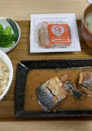 鯖の味噌煮-レシピのメイン写真