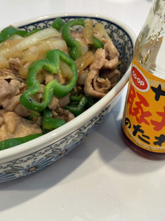 豚丼のタレで生姜焼き-レシピのメイン写真