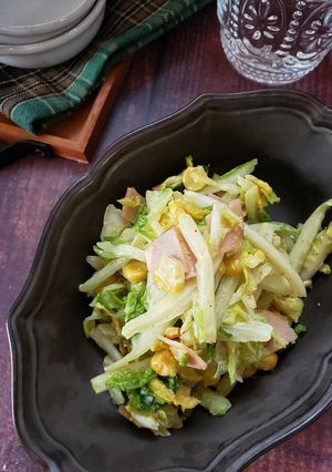 塩揉み白菜のカレーコールスロー-レシピのメイン写真