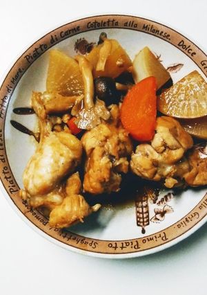 手羽元と根菜の煮物-レシピのメイン写真