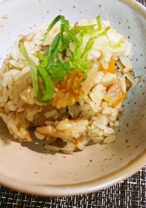 十色炊き込みご飯-レシピのメイン写真