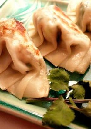 香菜・鶏・ココナッツミルクでベトナム餃子-レシピのメイン写真