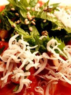 和×イタリアン★しらすとトマトうどん-レシピのメイン写真