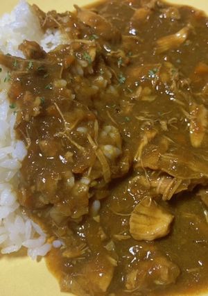 手羽元の圧力鍋で絶品カレー！-レシピのメイン写真