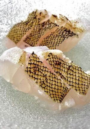 コリコリ皮が香ばしいオオモンハタの炙り-レシピのメイン写真