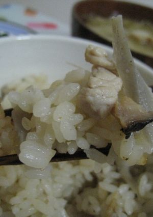 鶏ごぼう炊き込みごはん-レシピのメイン写真