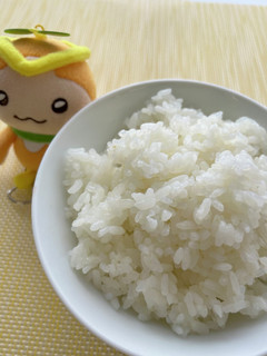 しらたきごはん-レシピのメイン写真