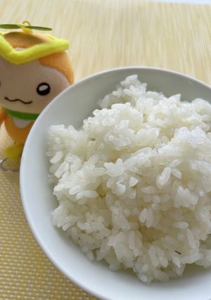 しらたきごはん-レシピのメイン写真