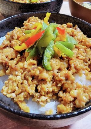 そぼろ丼　カレー味　余ったカレールー-レシピのメイン写真