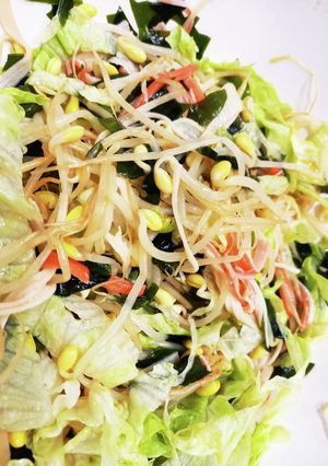 豆もやし　サラダ　-レシピのメイン写真