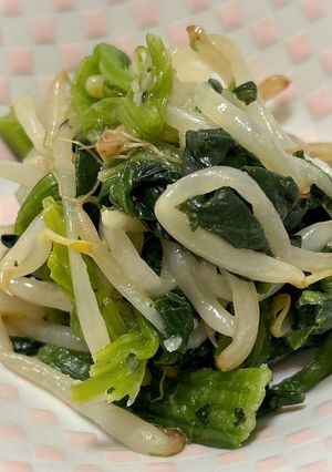 【常備菜】ほうれん草ともやしのナムル-レシピのメイン写真