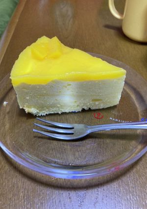 マンゴームースケーキ-レシピのメイン写真