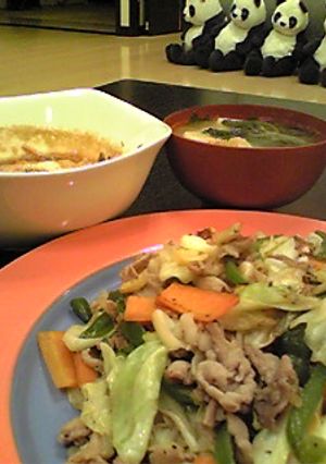 初めて上手にできた肉野菜炒め-レシピのメイン写真