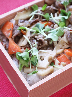根菜と牛肉のきんぴら-レシピのメイン写真