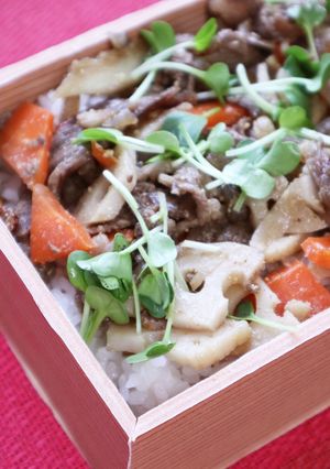 根菜と牛肉のきんぴら-レシピのメイン写真
