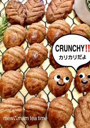 どんぐりクッキー☆全種類のどんぐりOK-レシピのメイン写真