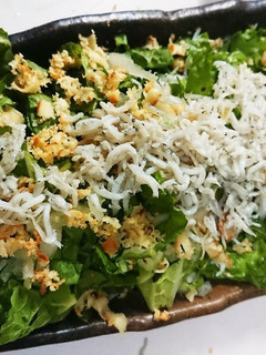 白菜のサラダ 燻製チーズとしらすで!-レシピのメイン写真