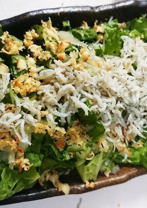 白菜のサラダ 燻製チーズとしらすで！-レシピのメイン写真
