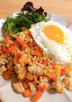 ナンプラー不要！簡単野菜たっぷりガパオ-レシピのメイン写真