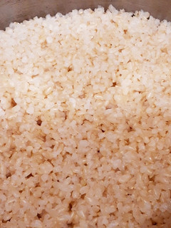 玄米ご飯 圧力鍋-レシピのメイン写真