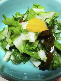 広茎京菜の浅漬-レシピのメイン写真