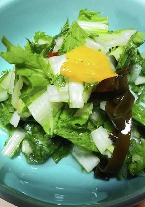 広茎京菜の浅漬-レシピのメイン写真
