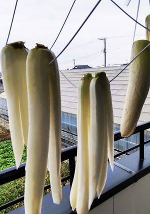 干し大根(大根の干し方)-レシピのメイン写真