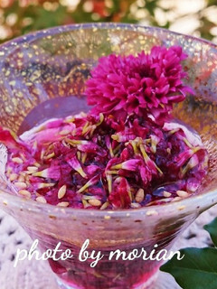菊花の酢の物☆もってのほか-レシピのメイン写真