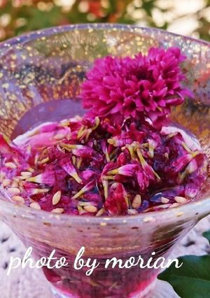 菊花の酢の物☆もってのほか-レシピのメイン写真
