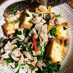 รูปของ 厚揚げと豚肉炒め