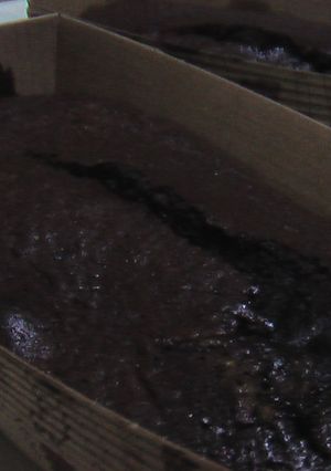 トースターガトーショコラ-レシピのメイン写真