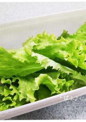 タッパーにお任せ！野菜の水切り～♪-レシピのメイン写真