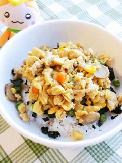 高野豆腐のカレー風味丼-レシピのメイン写真