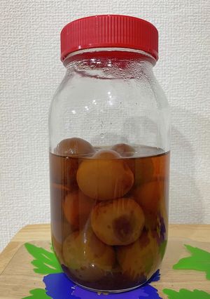 南高梅の梅酒 V.O仕様 2021年版-レシピのメイン写真