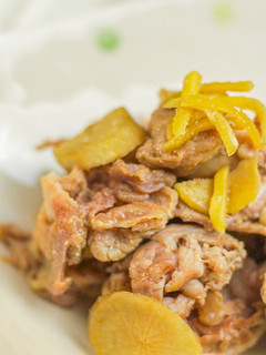 味が染み込む!豚肉とごぼうのしょうが煮-レシピのメイン写真