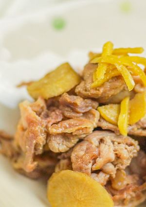 味が染み込む！豚肉とごぼうのしょうが煮-レシピのメイン写真
