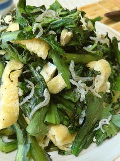 半分火を通す♪春菊揚げじゃこのごま油炒め-レシピのメイン写真