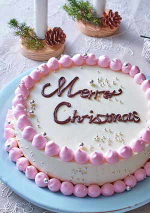 メリークリスマスレアチーズケーキ-レシピのメイン写真