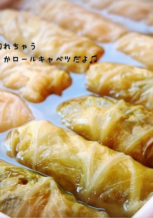柔らかロールキャベツ-レシピのメイン写真