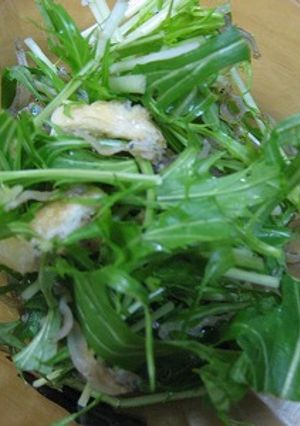 水菜とじゃこのサラダ鰯のオイル漬を添えて-レシピのメイン写真