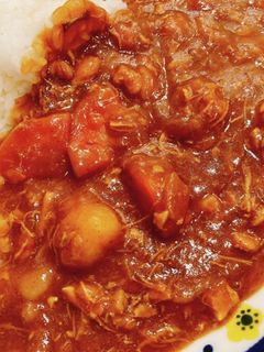 トロトロ手羽元のお家カレー-レシピのメイン写真