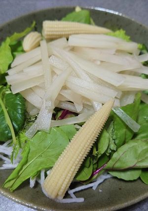 ヤーコンのサラダ-レシピのメイン写真