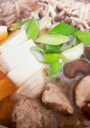 れんこん入りフワフワ鶏だんご鍋-レシピのメイン写真