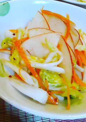 冬の酢の物リンゴと白菜-レシピのメイン写真