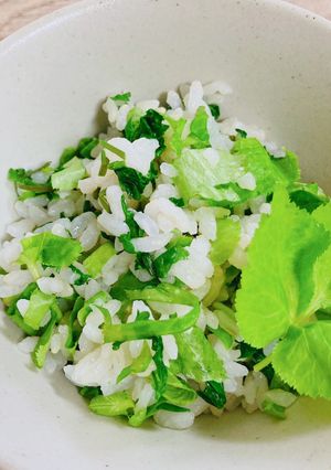 自生のセリとミツバのご飯-レシピのメイン写真