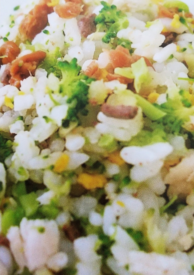 犬用 さっぱりまぜごはん (覚え書き)-レシピのメイン写真