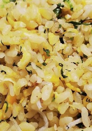 しらすチャーハン-レシピのメイン写真