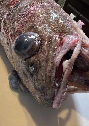 ソコクロダラちり鍋-レシピのメイン写真