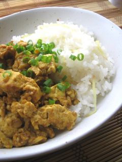 ポカポカ♪豆腐と生姜の和風ドライカレー-レシピのメイン写真