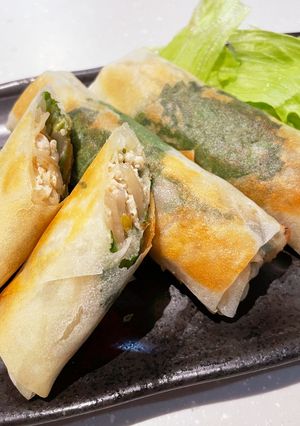 簡単☆鶏ミンチ＆もやしのヘルシー春巻き-レシピのメイン写真